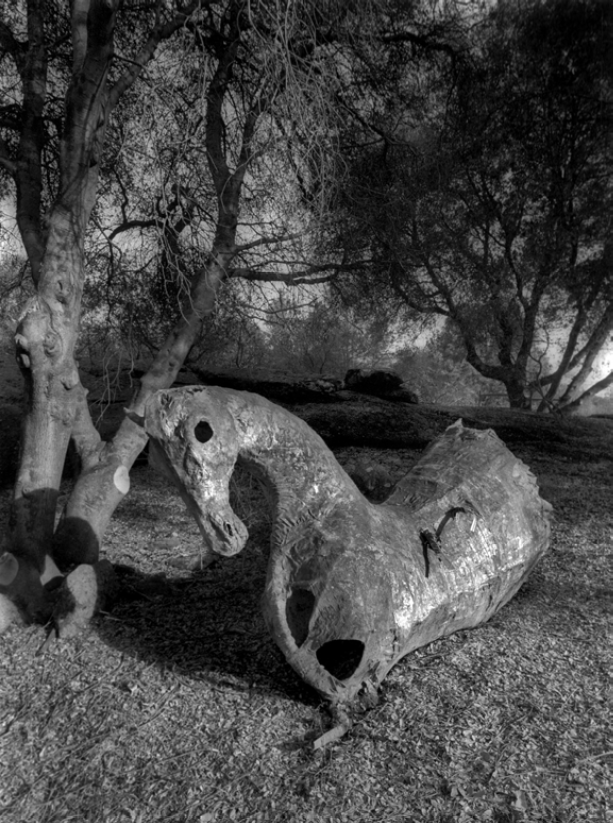 Р. Уиттекер. Затерянный сад в Марипосе, 2006.