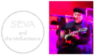 Seva Logo And Guitar